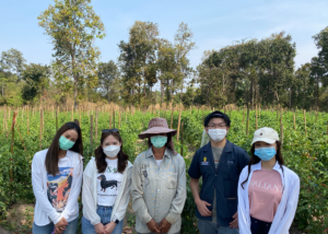 ISSP3-10