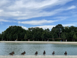IMG_2123.HEIC