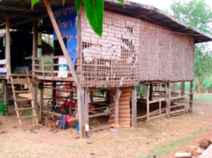 2008_6
