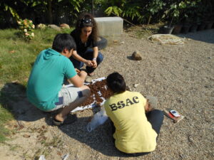 DSCN0991