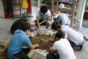 thai 294